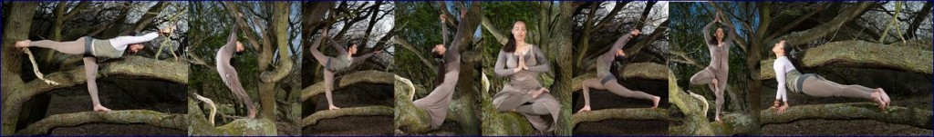 Patricia Ramaer Photography Tree yoga Cathy Same Lottin Waves, beach & health center Zandvoort boom yoga duinen