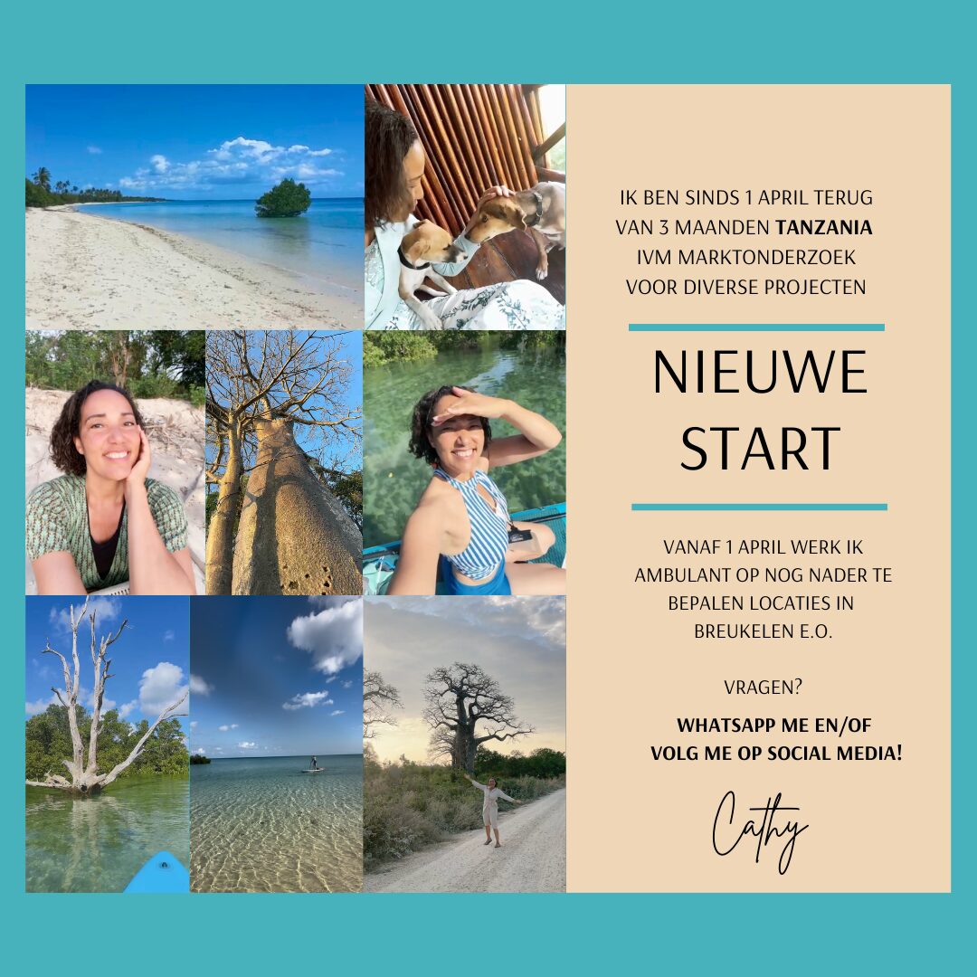 Pop up nieuwsbericht NewWaves voorjaar 2025